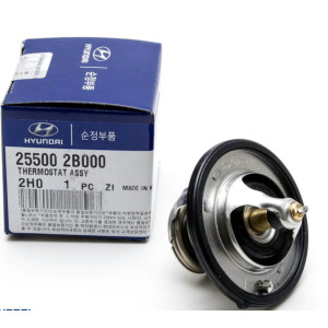 Kia Hyundai Termostat